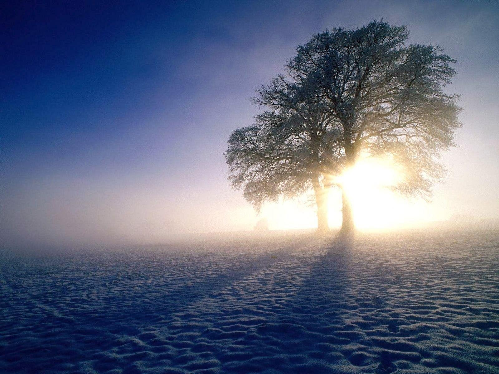 1600x1200 WUSA 9 Wallpapersea Andpop: Cold Nature