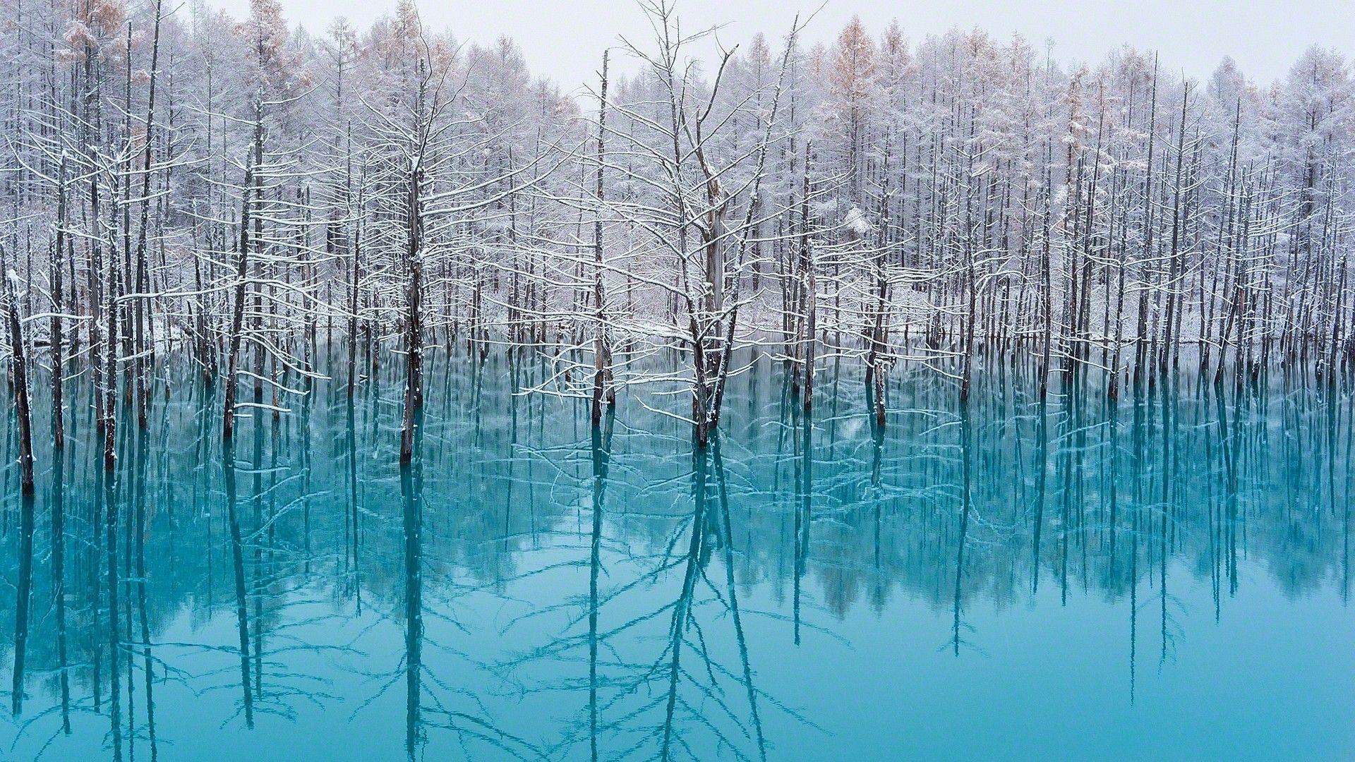 1920x1080 #Japan, #lake, #winter, #landscape, #mist, #forest, #trees