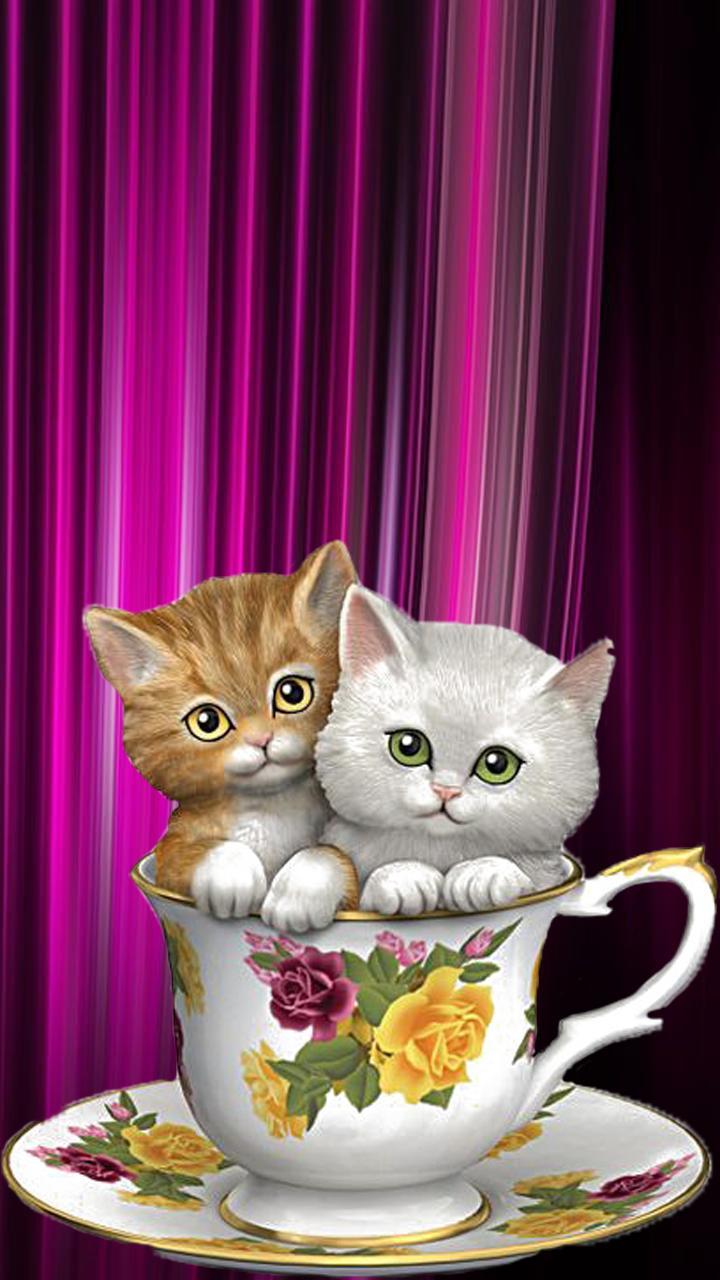 720x1280 Cute Cat Anime Wallpaper for Android