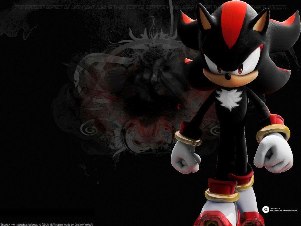 1032x774 Shadow the Hedgehog Wallpaper 2