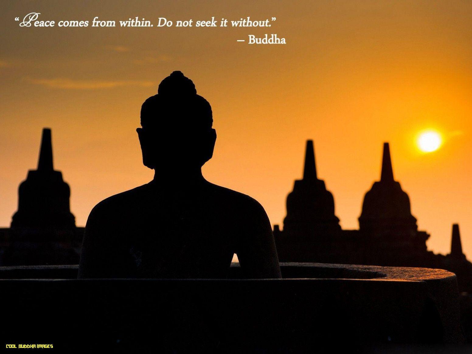 1552x1164 Buddha Quotes Wallpaper buddha image
