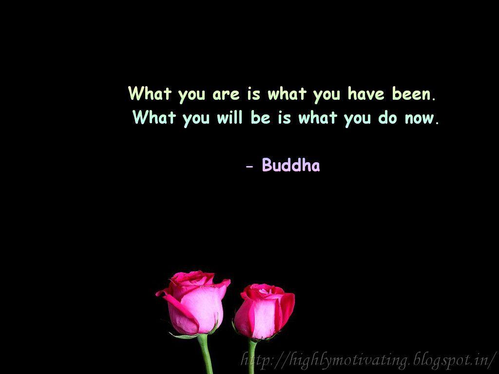1024x768 Inspiration and Motivation: Buddha Quote Wallpaper. Buddhist quotes, Buddha quote, Life quotes