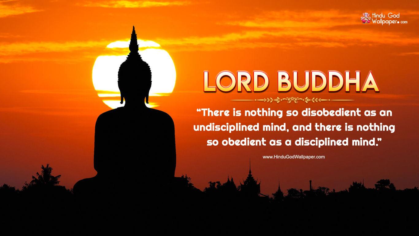 1366x768 Best Buddha Quotes Wallpaper HD Image Photo Free Download