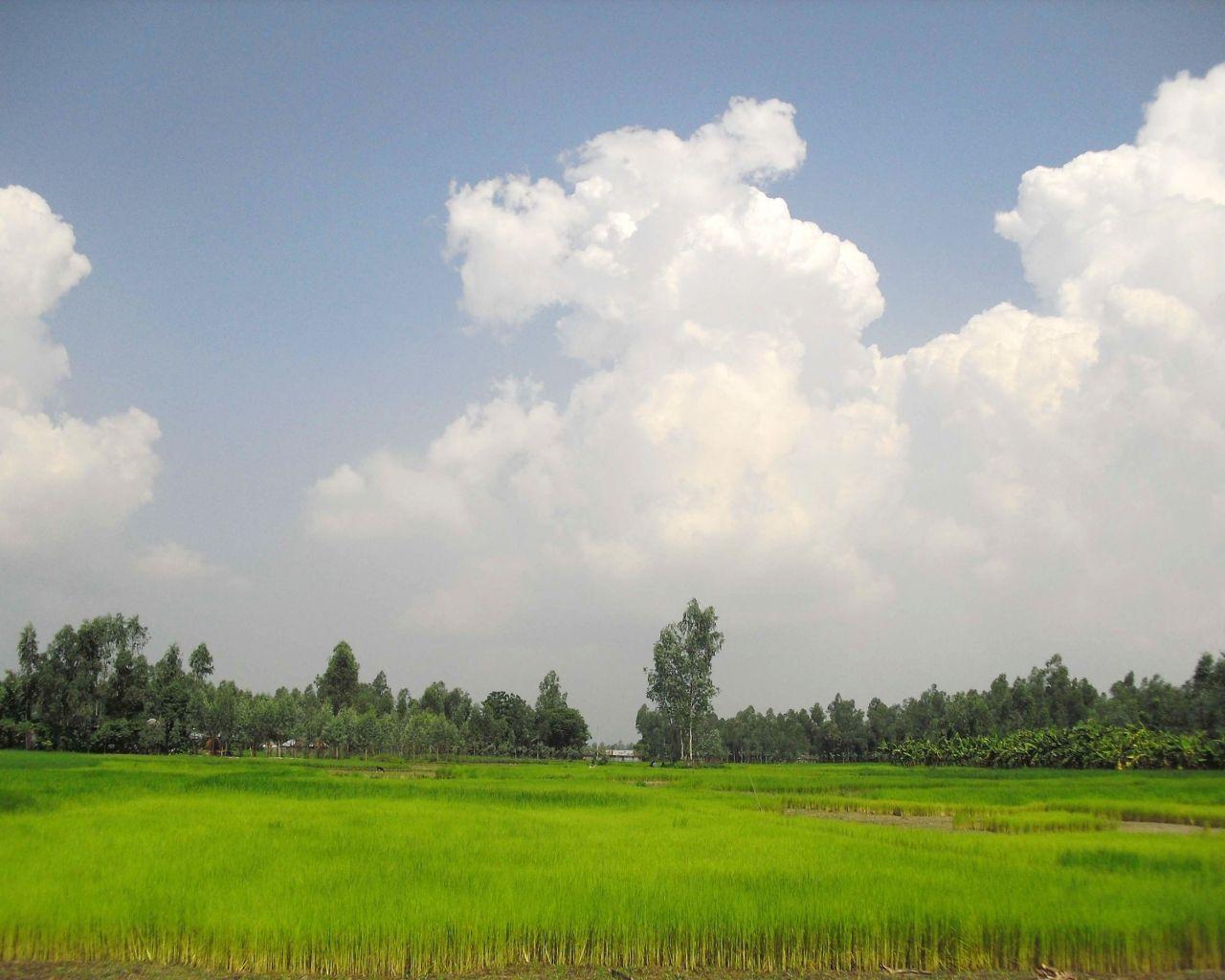 1280x1024 Free download Village Shanto Bangladesh Wallpaper 36259363