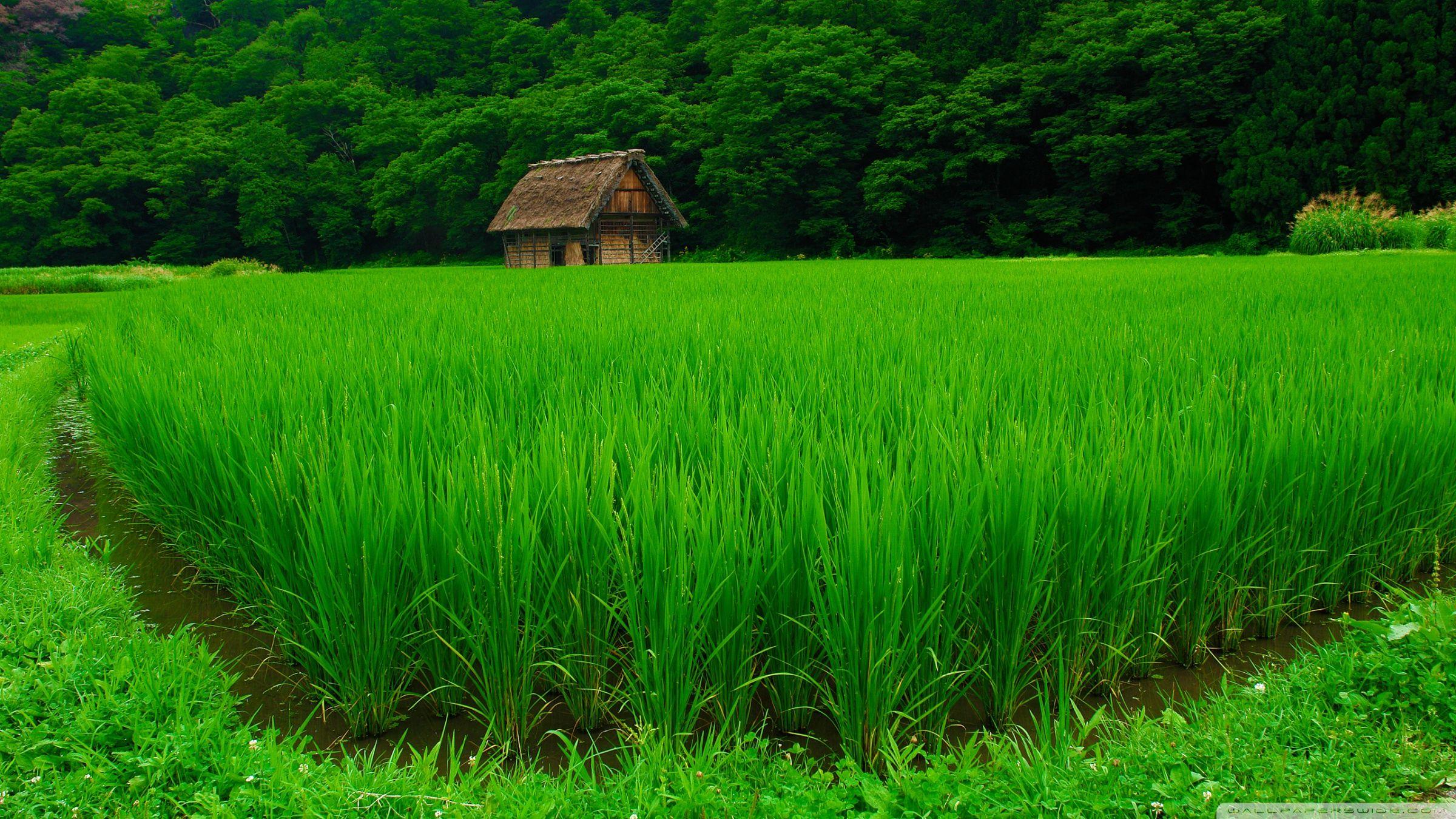 2400x1350 Shirakawa Go Ultra HD Desktop Background Wallpaper For 4K UHD TV