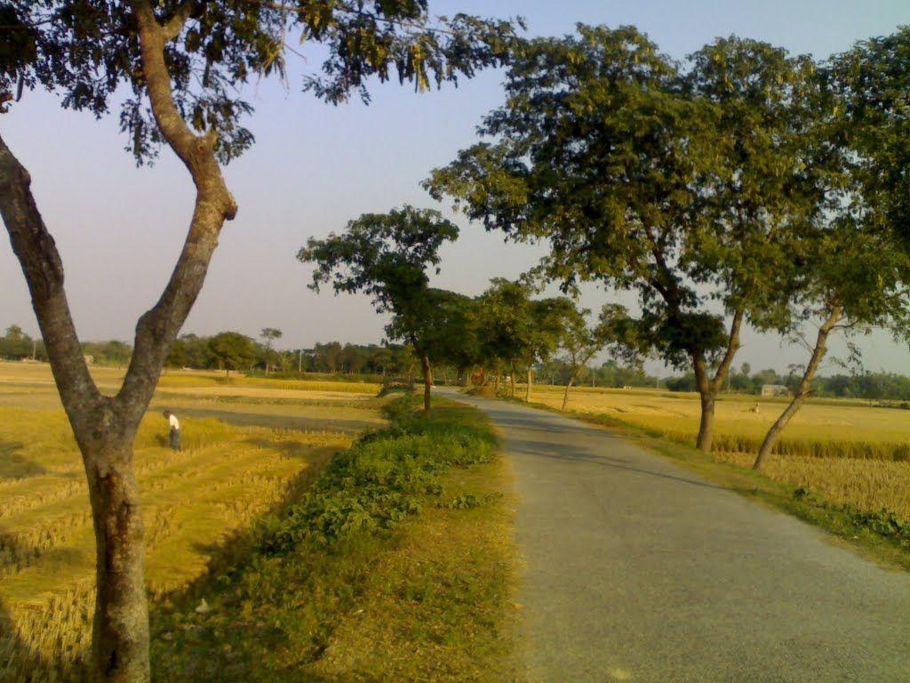 1024x768 Fulpur, Rural Bangladesh. Landscape photo, Nature, Landscape