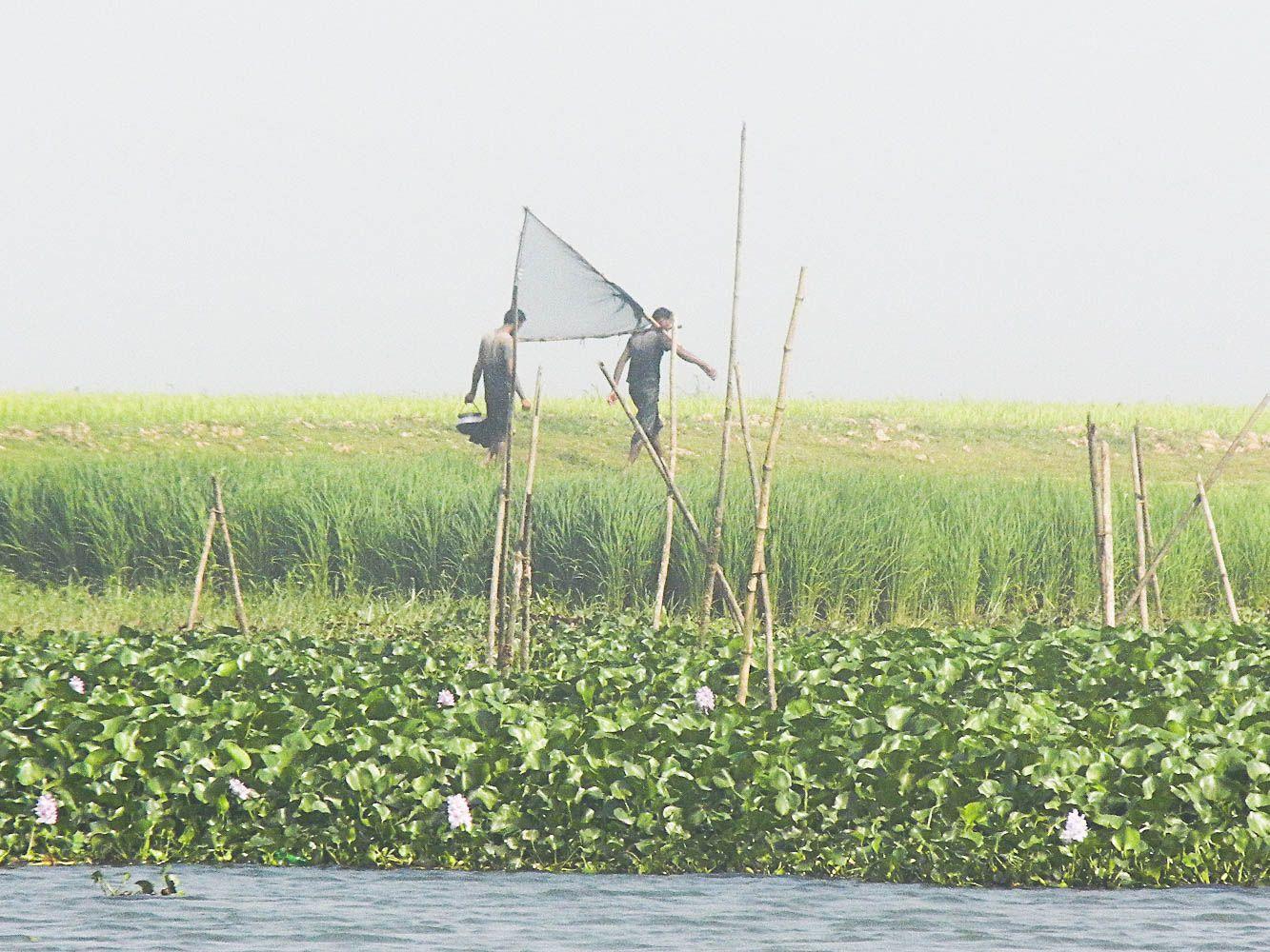 1333x1000 Bangladesh Village