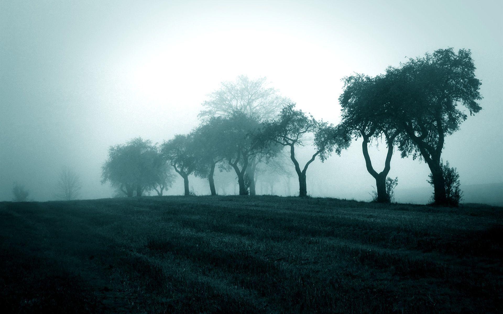 1920x1200 Bangladesh Wallpaper