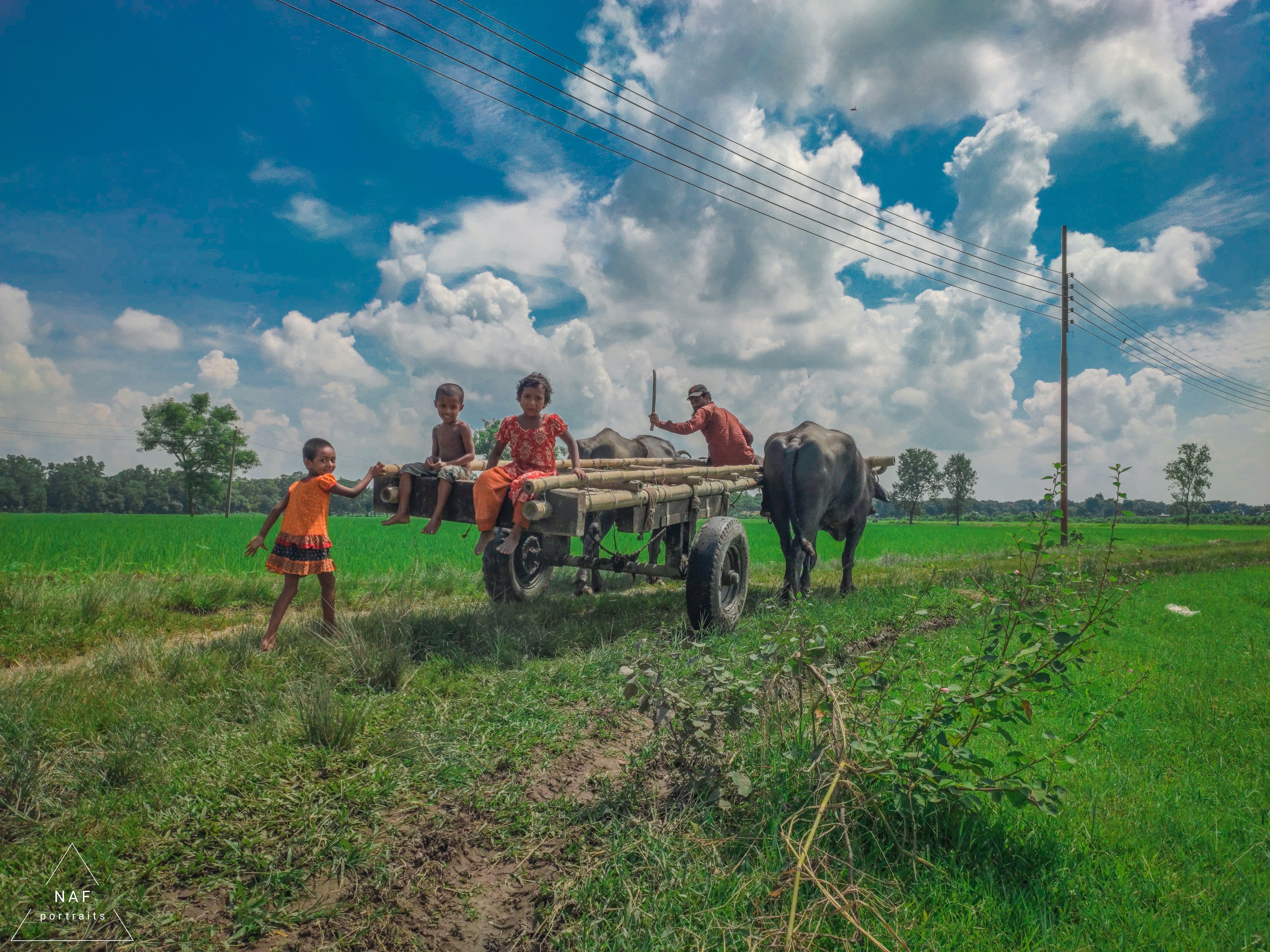 8000x6000 Free of bangladesh, childhood, rural scene