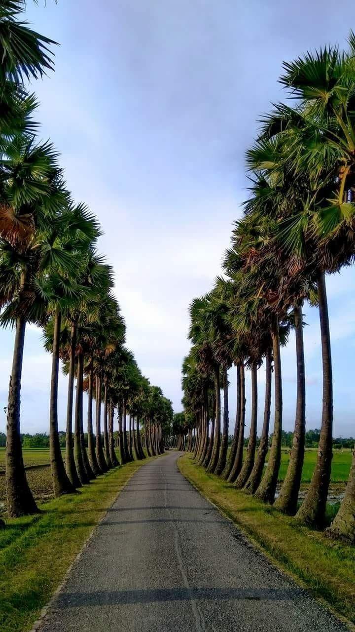 720x1280 Beauty of Bangladesh. Village photography, Beautiful nature