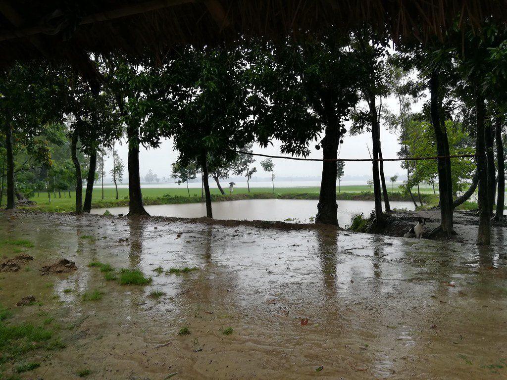 1024x768 Nature Raining In Village Wallpaper