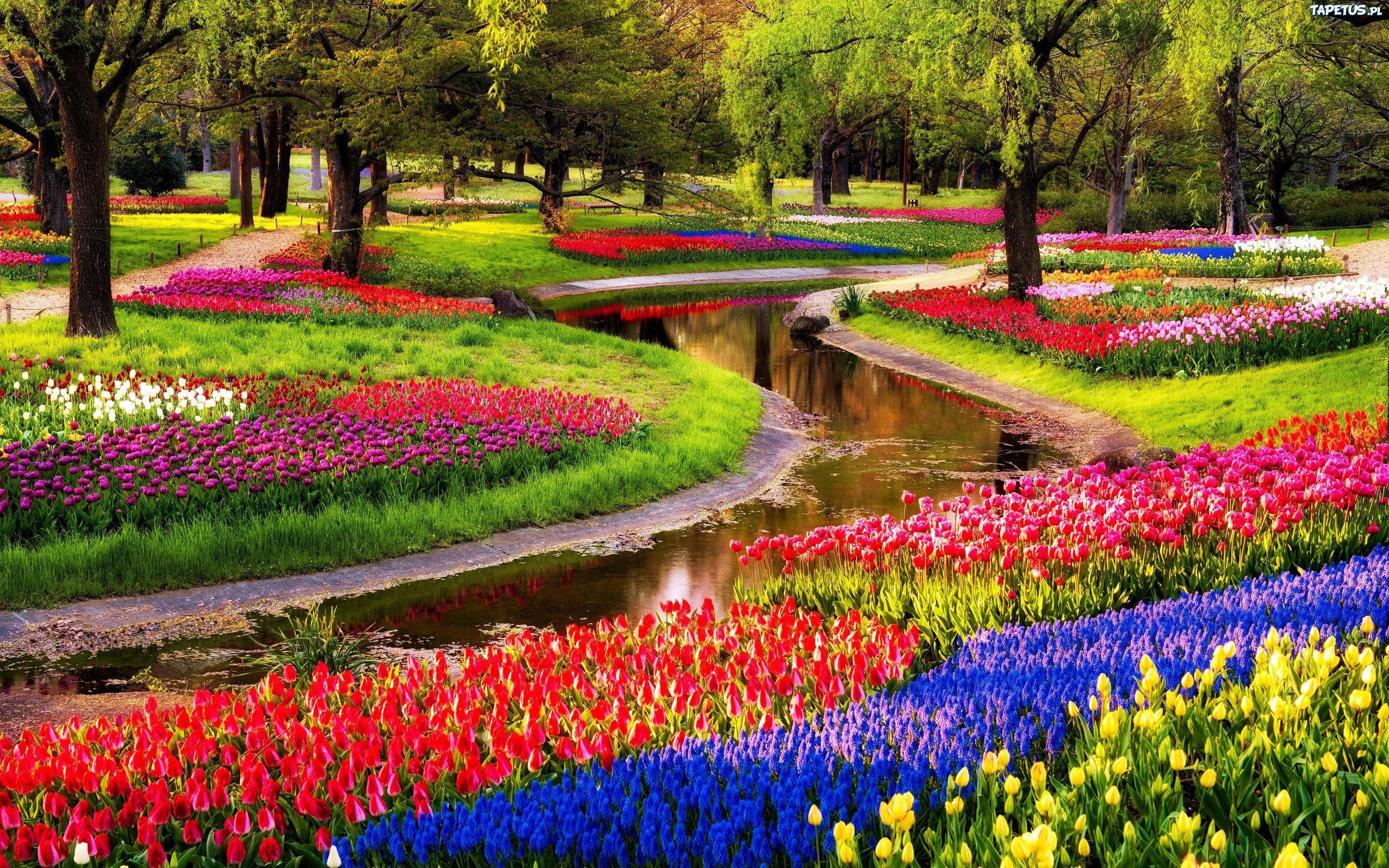 2880x1800 Park Keukenhof, also known as Garden of Europe!! The largest