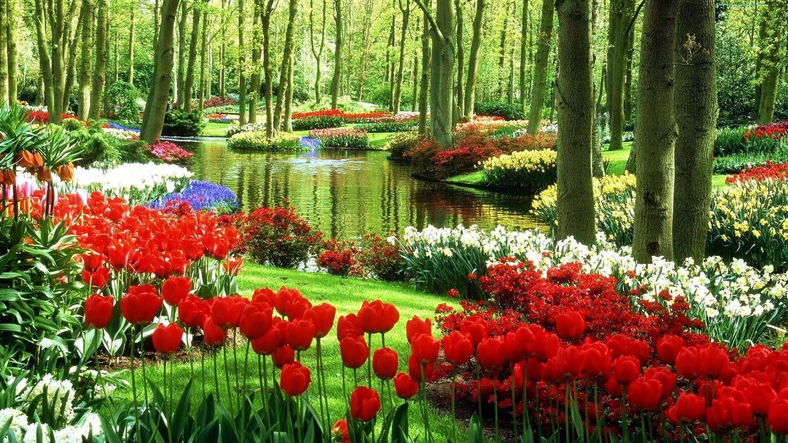 1600x900 Beautiful Spring Wallpaper Gardens