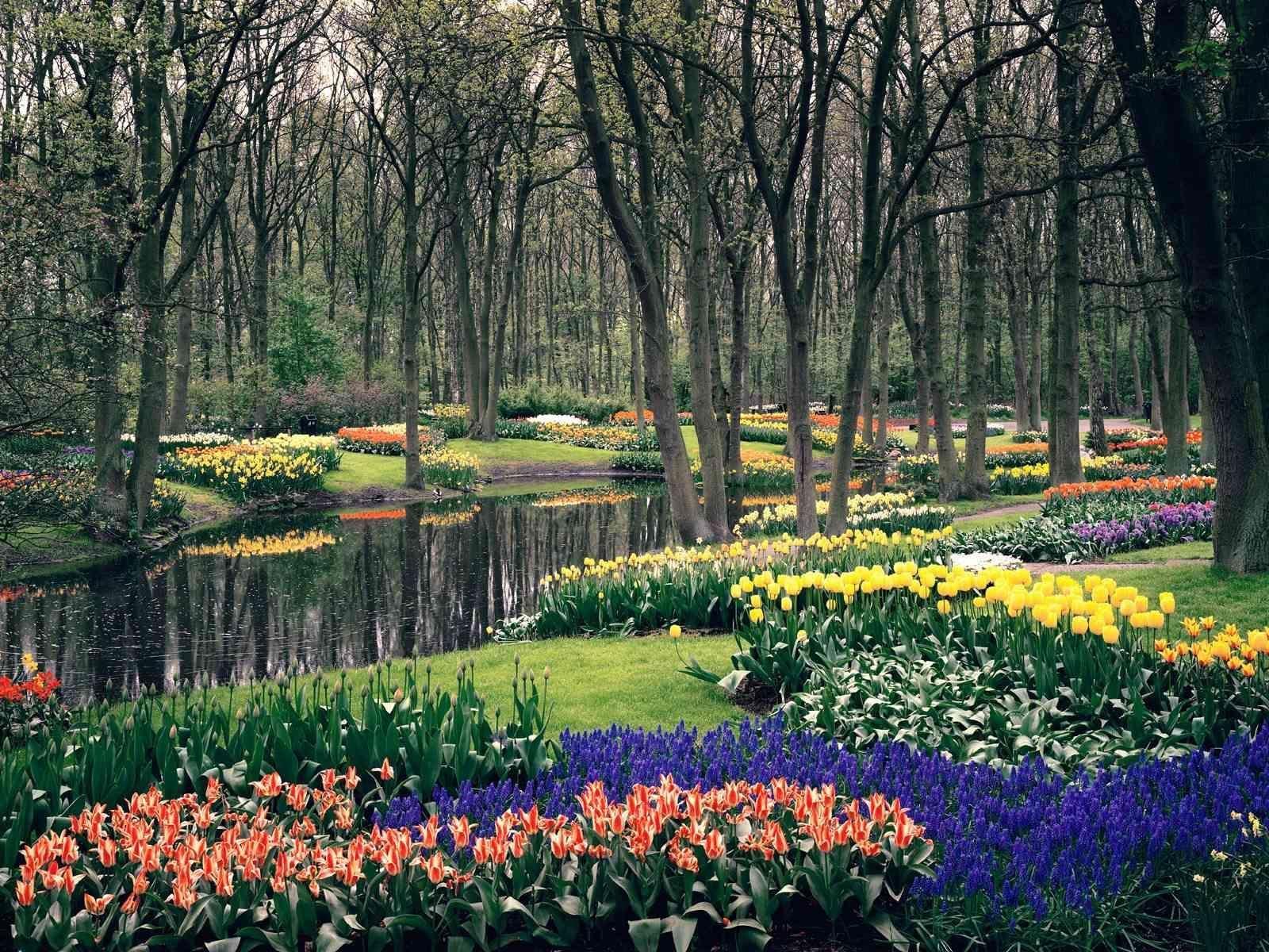 1600x1200 Colorful Keukenhof Gardens