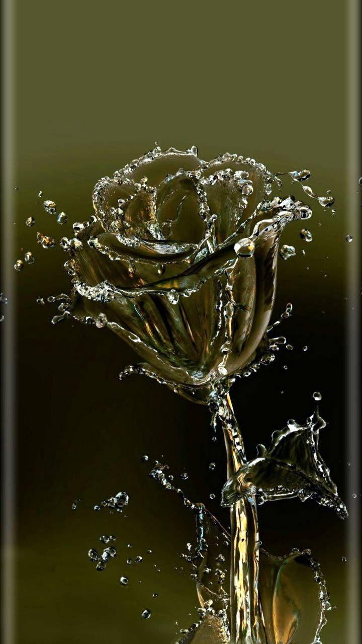 720x1280 Download rose water Wallpaper
