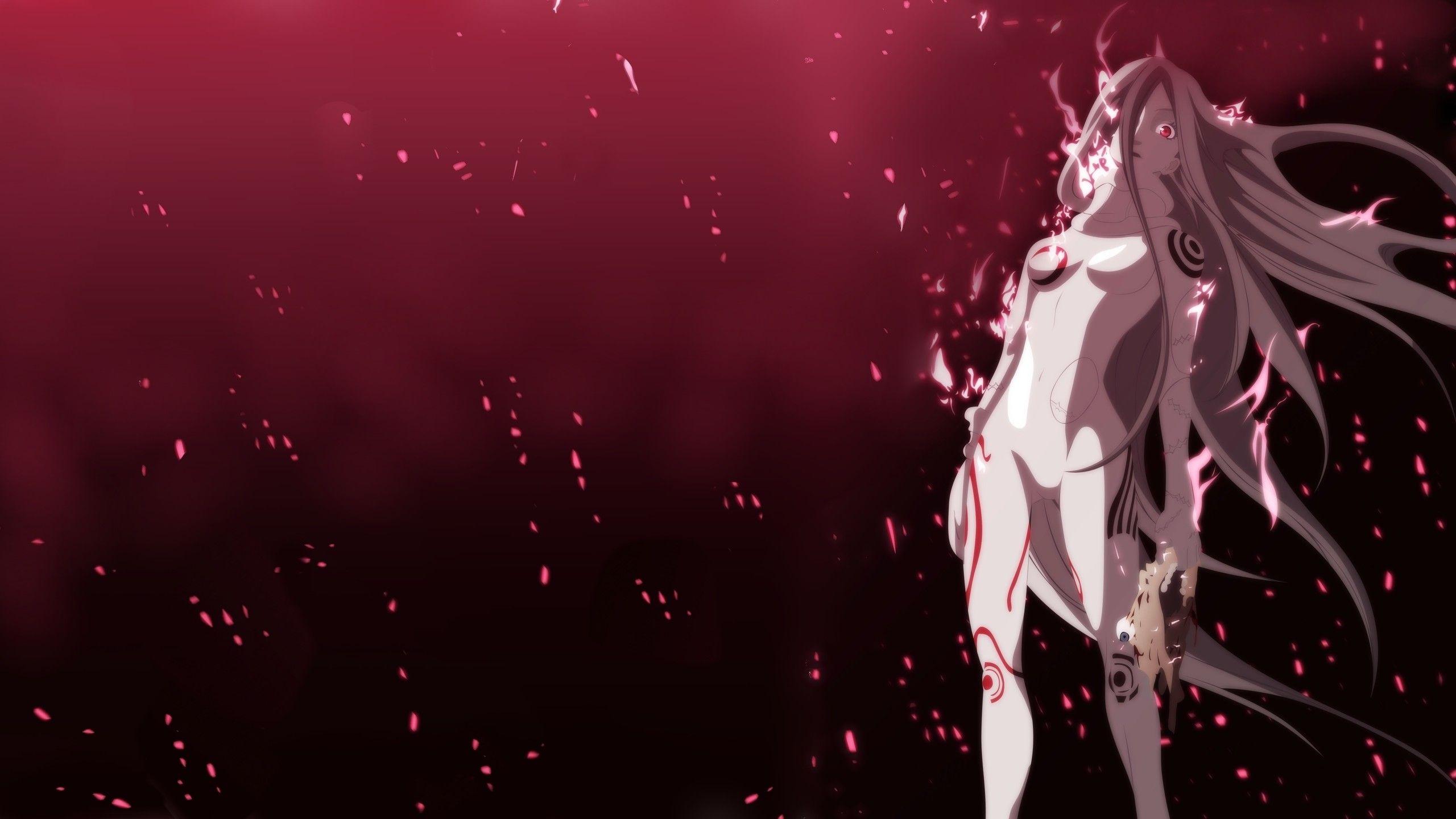 2560x1440 Download Wallpaper Wonderland Wallpaper
