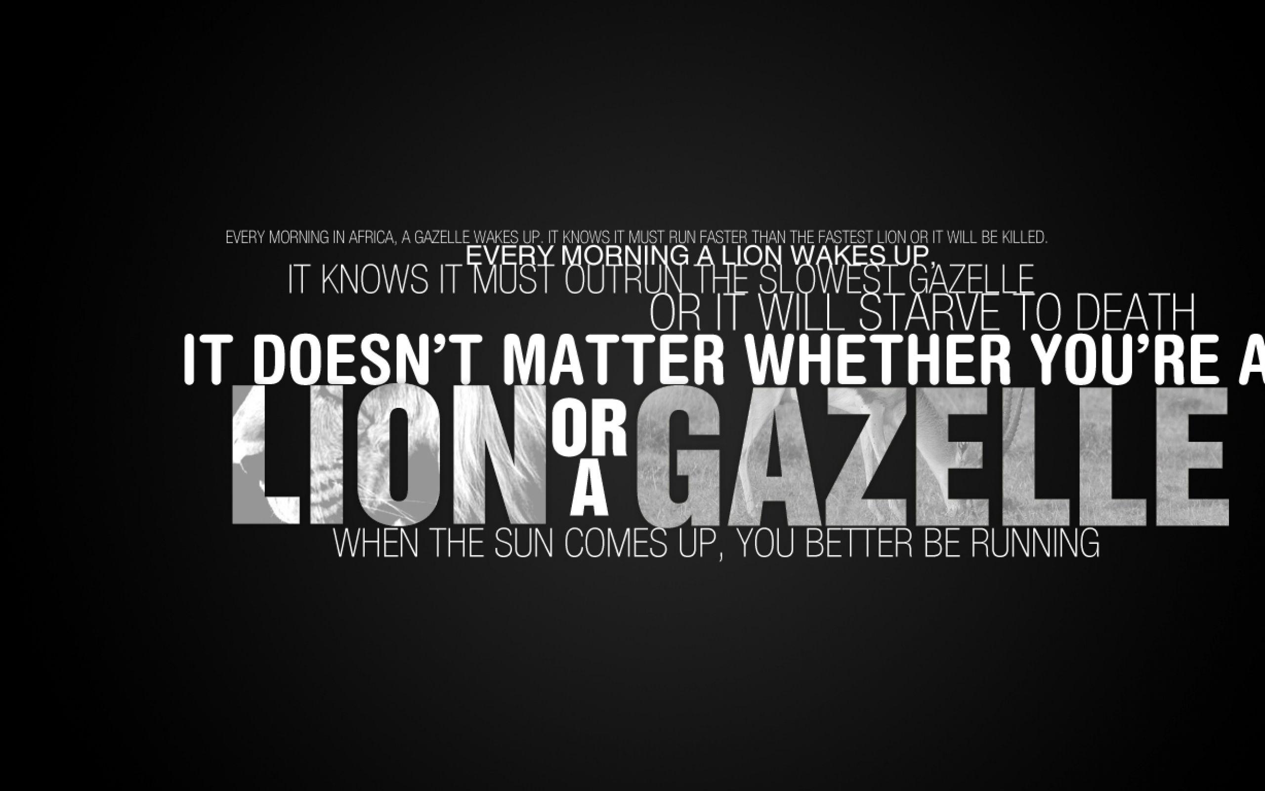 2560x1600 Free download Lifting Motivational Quotes Quotesgram 2560x1600