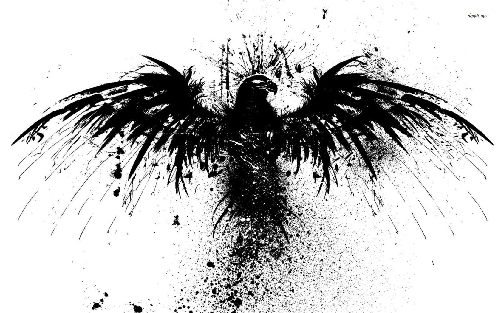 1680x1050 Eagle pics black and white wallpaper