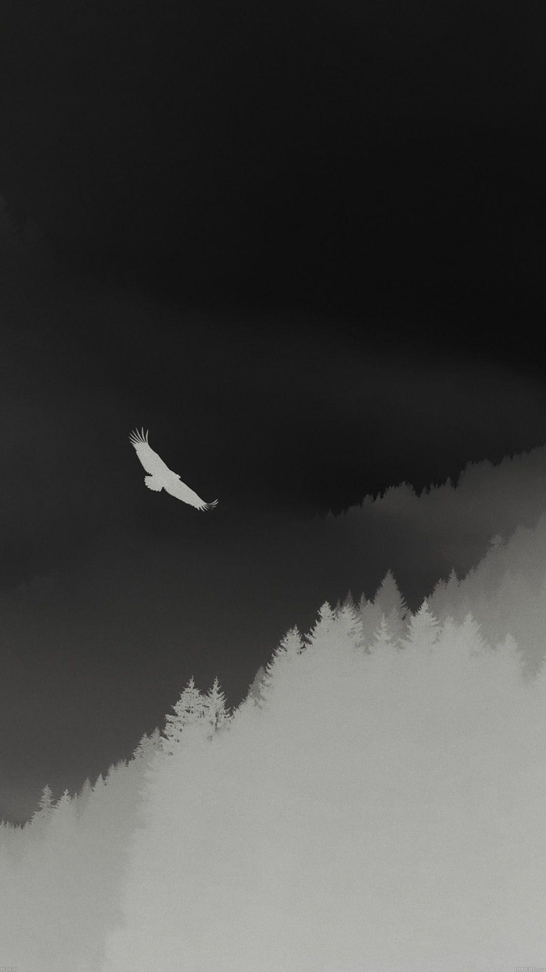 1080x1920 Eagle Mountain Dark Fly Animal Android wallpaper HD
