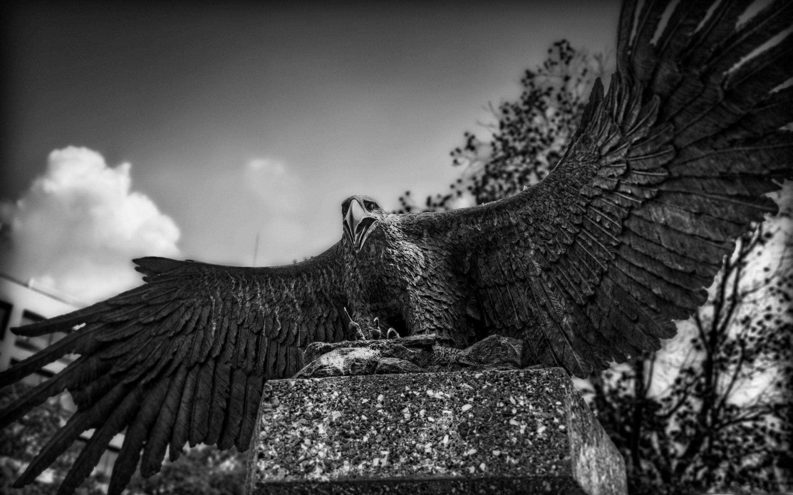 2560x1600 Eagle Sculpture Nagoya Japan MacBook Air Wallpaper Download