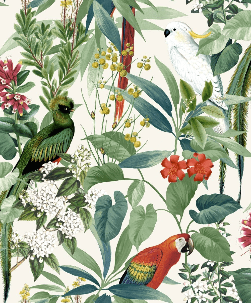 1000x1208 Ikala Parrot