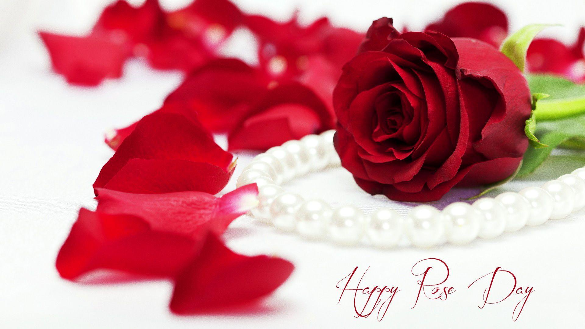 1920x1080 Ngày 7 tháng 2 Ngày Hoa hồng Hình nền HD. Tất cả màu sắc của hoa hồng cho người yêu và bạn bè