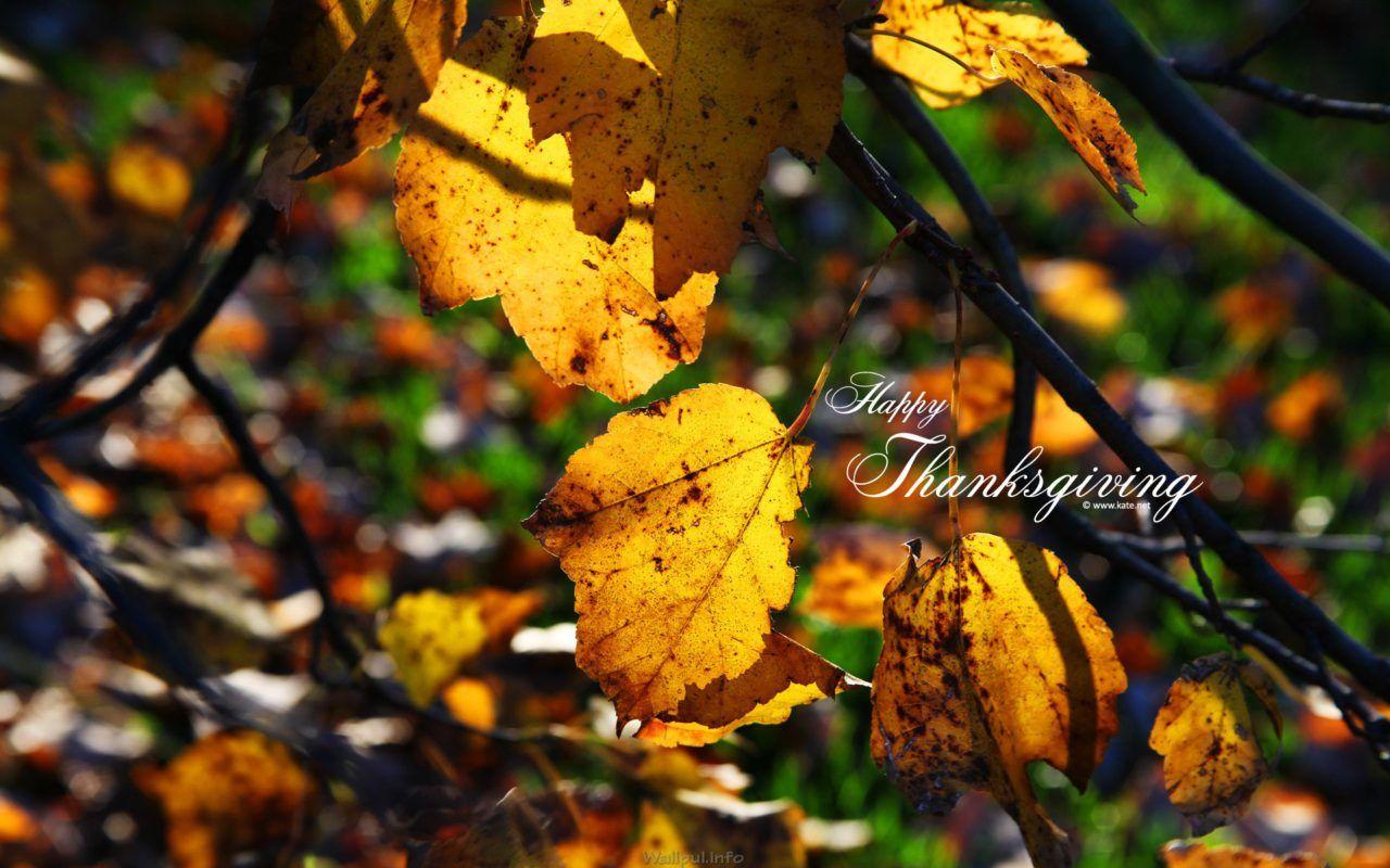 1280x800 Thanksgiving Wallpaper For Desktop Hd 1080p Wallpul HD Wallpaper