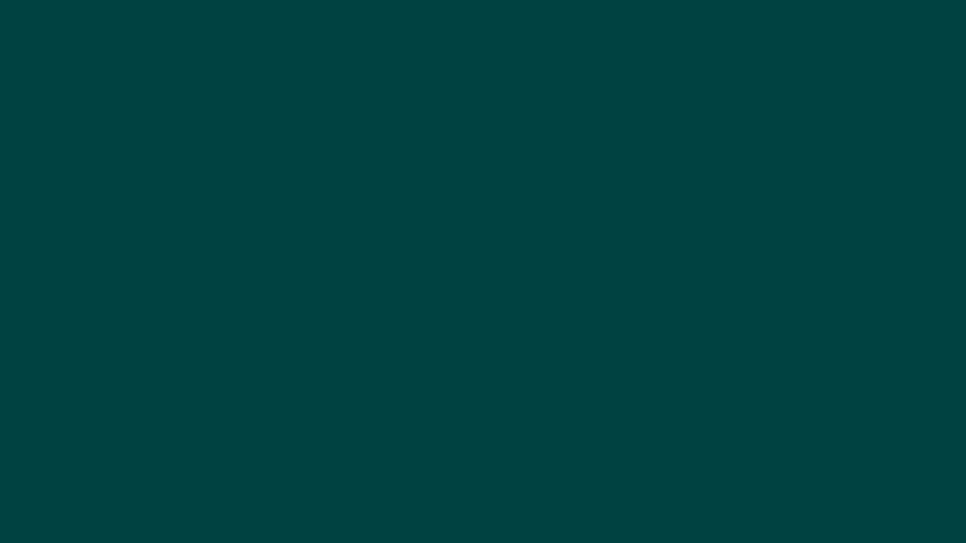 1920x1080 Plain Color Desktop
