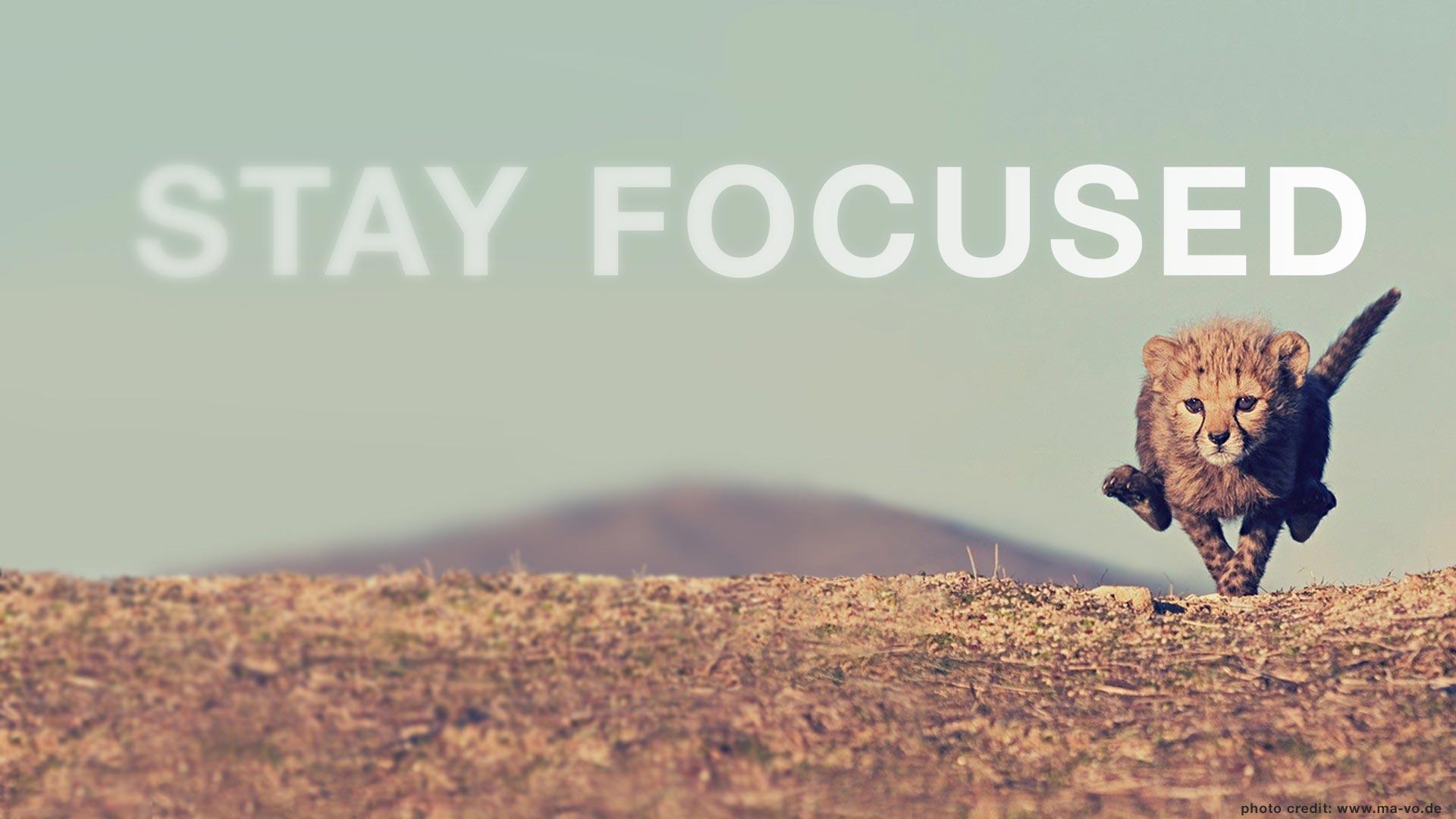 1920x1080 Quotes About Running Cheetah. QuotesGram