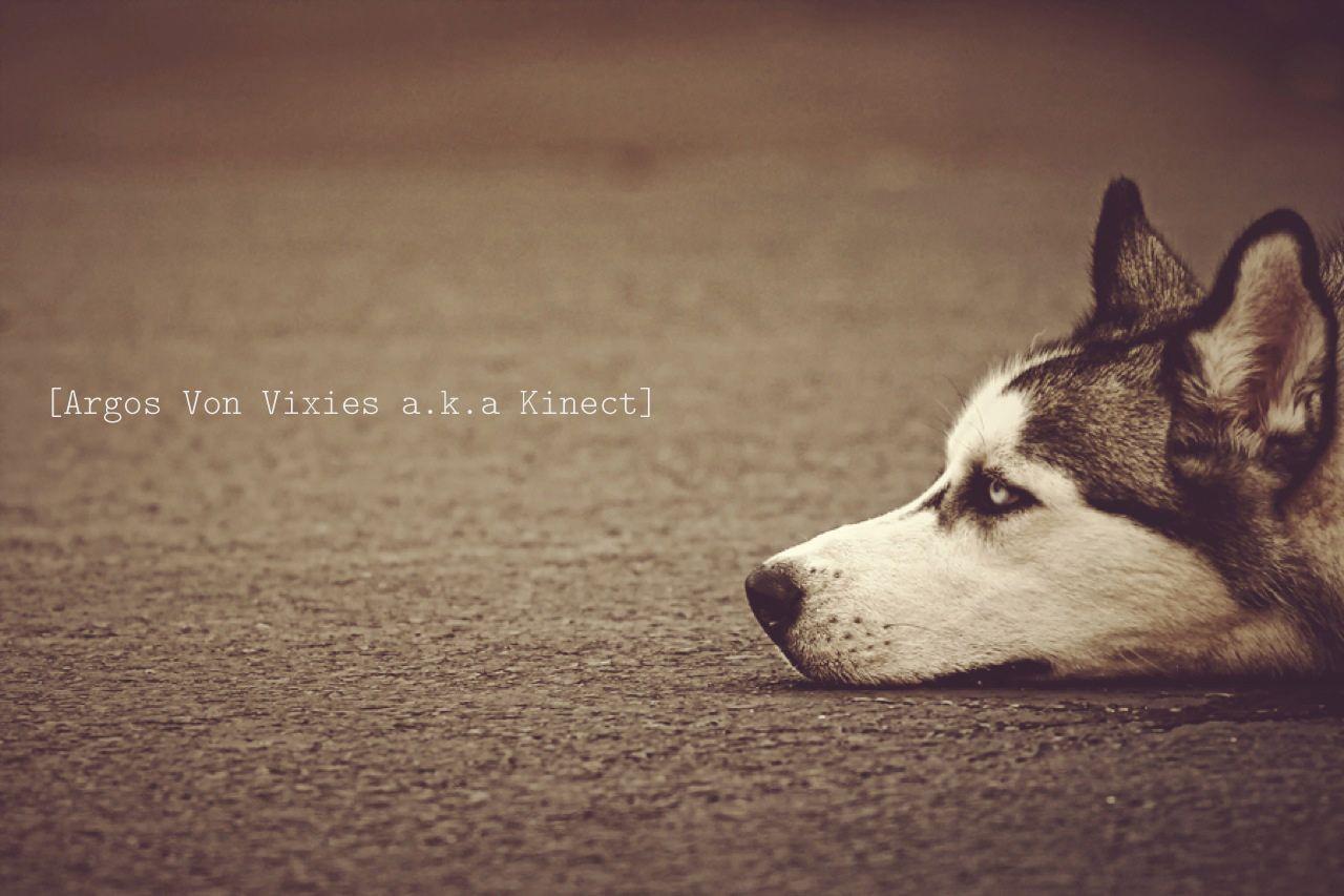 1280x853 Running Quotes Background. QuotesGram