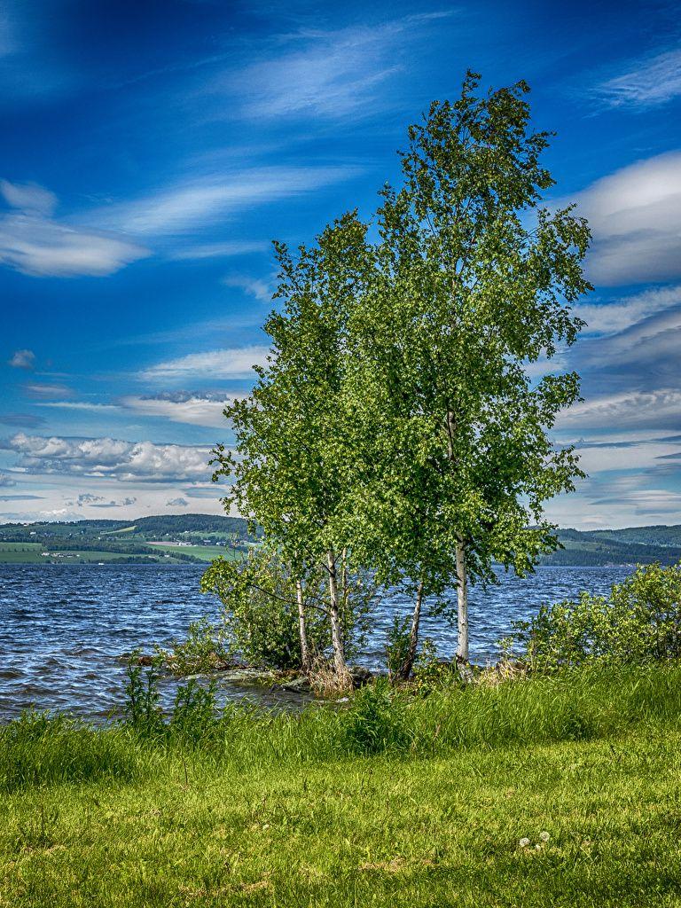 768x1024 Desktop Wallpaper Norway Hedmark Nature Summer Sky Lake Grass Trees