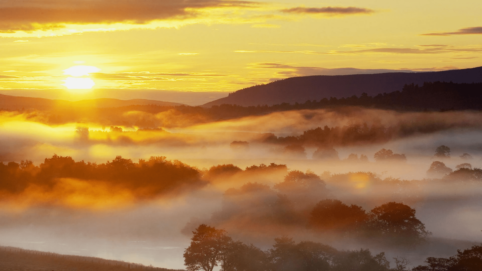 1920x1080 Fog HD Wallpaper