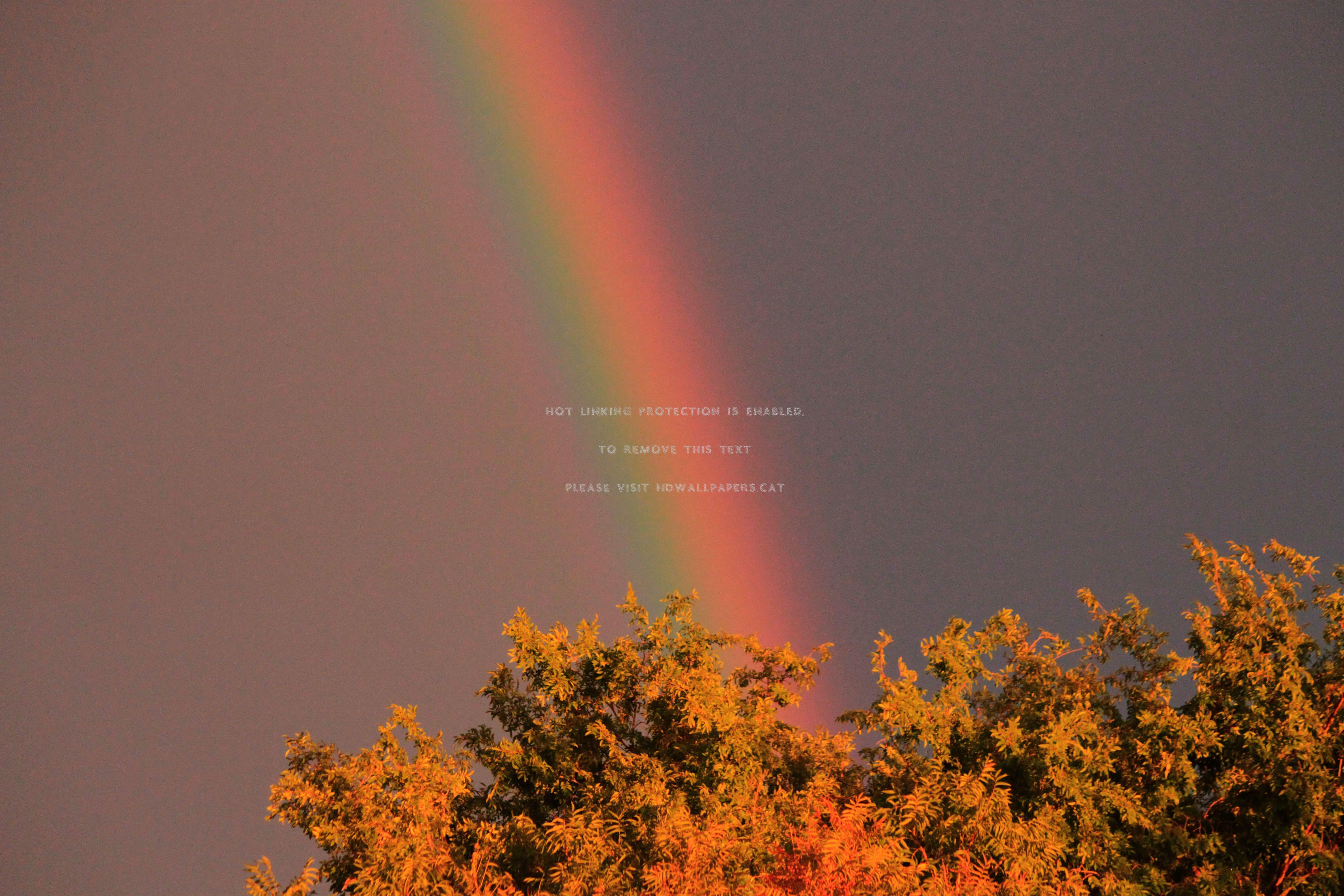 4752x3168 Pot of Gold Desktop Background