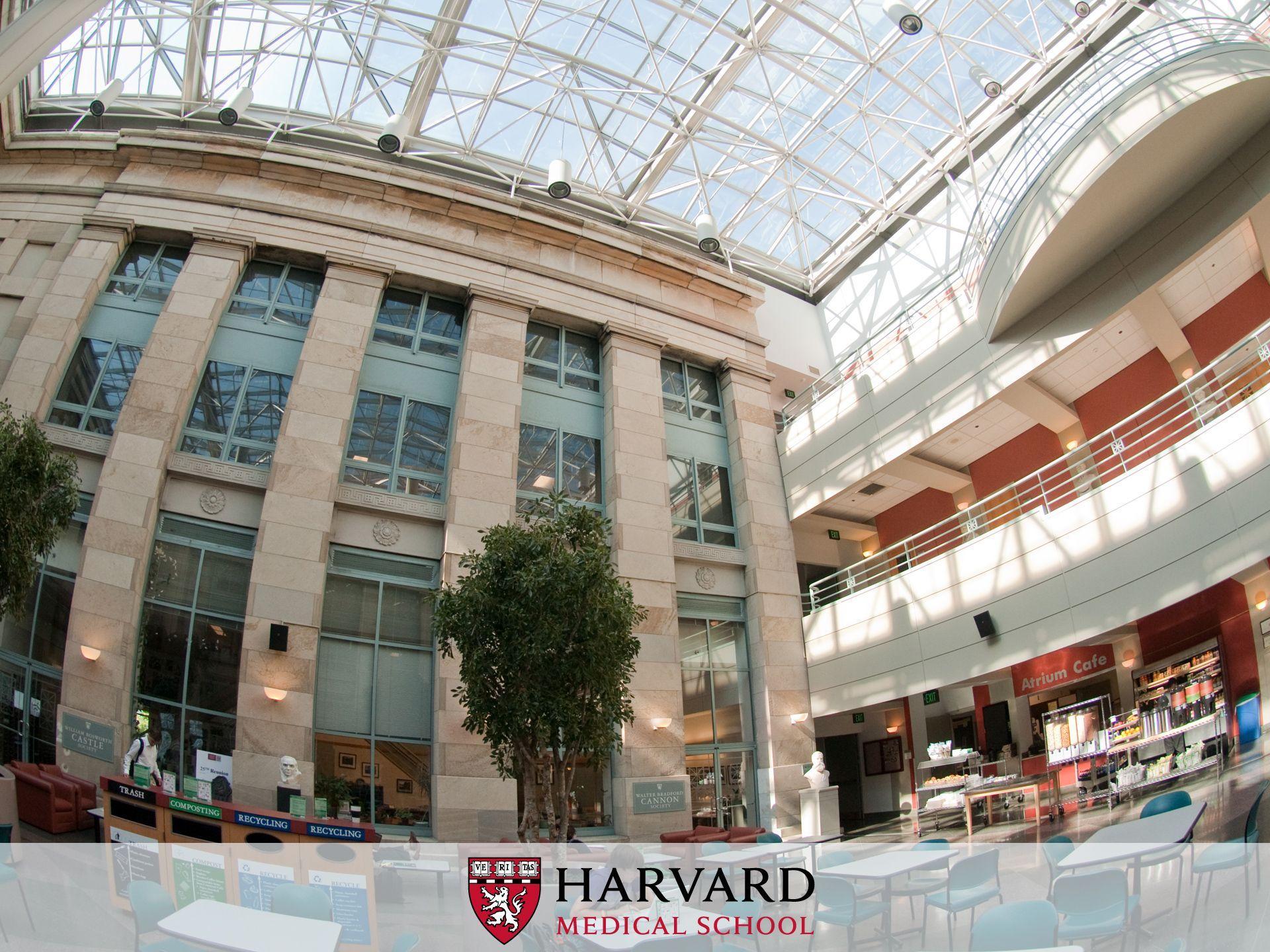 1920x1440 Harvard University Wallpaper