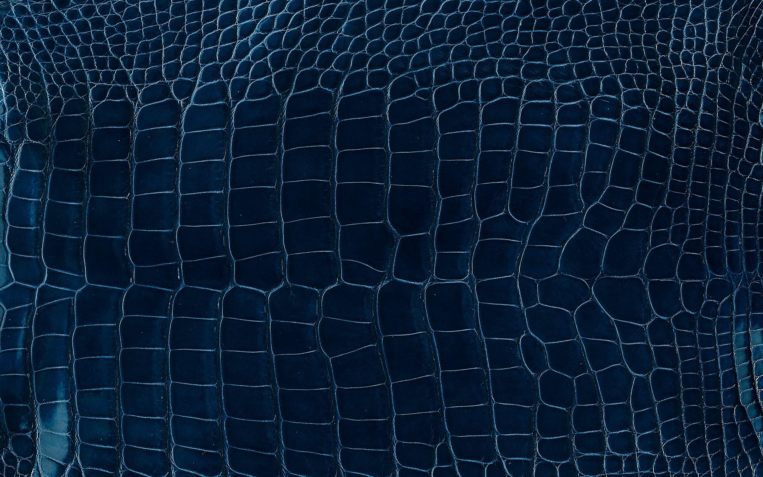 Blue Leather Wallpapers - Top Free Blue Leather Backgrounds