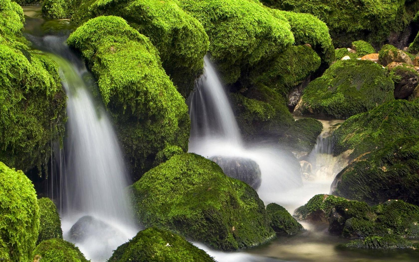 1680x1050 Free download waterfalls green waterfall wallpaper forest cascade