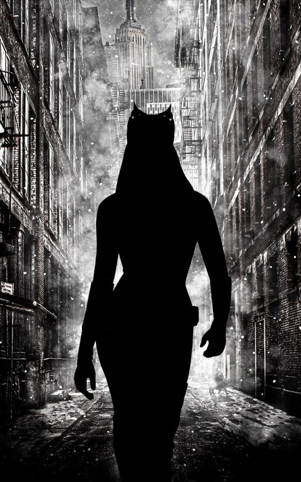 1000x1600 Catwoman Silhouette Gotham Android Wallpaper free download