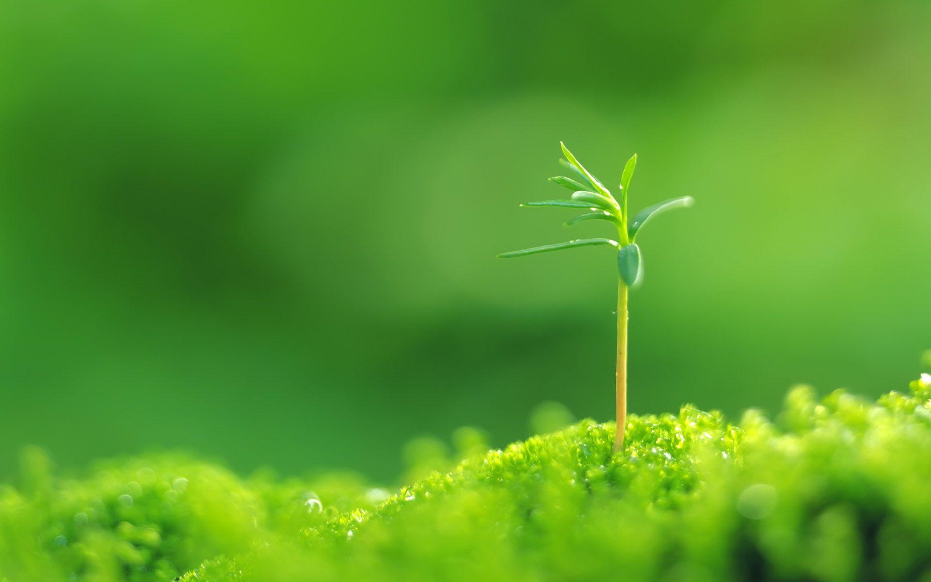 1920x1200 Life Wallpaper 30872 1920x1200px