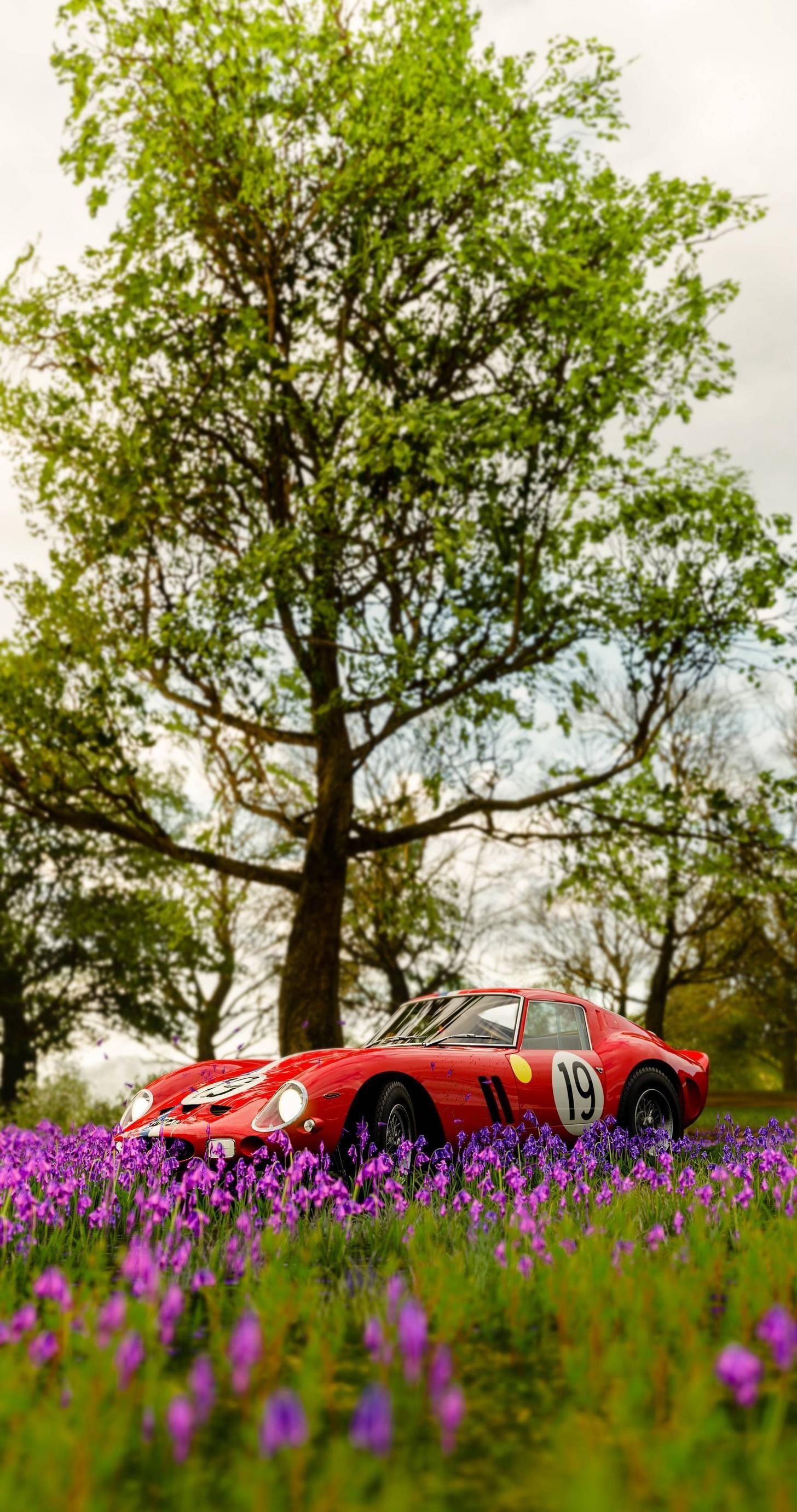 1456x2761 Ferrari 250 GTO Phone wallpaper. Gto, Phone wallpaper, Ferrari