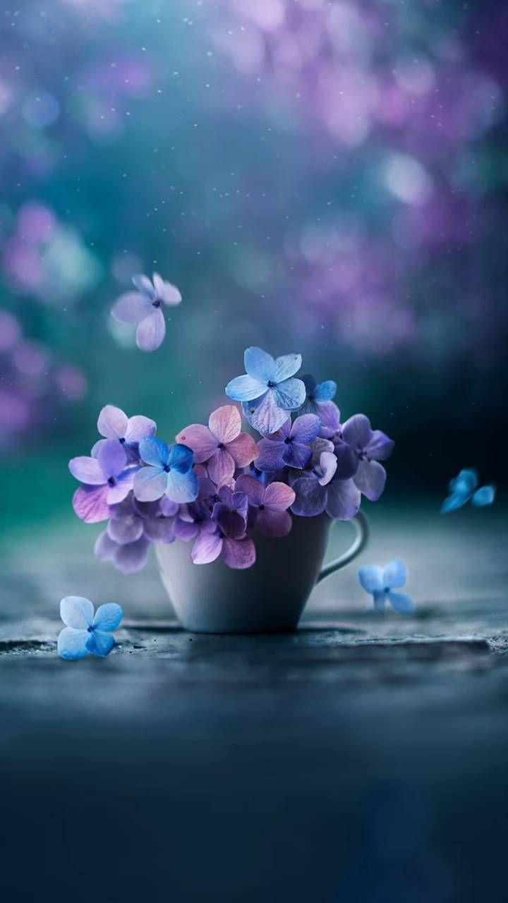 720x1280 Natuurfoto's. Pretty