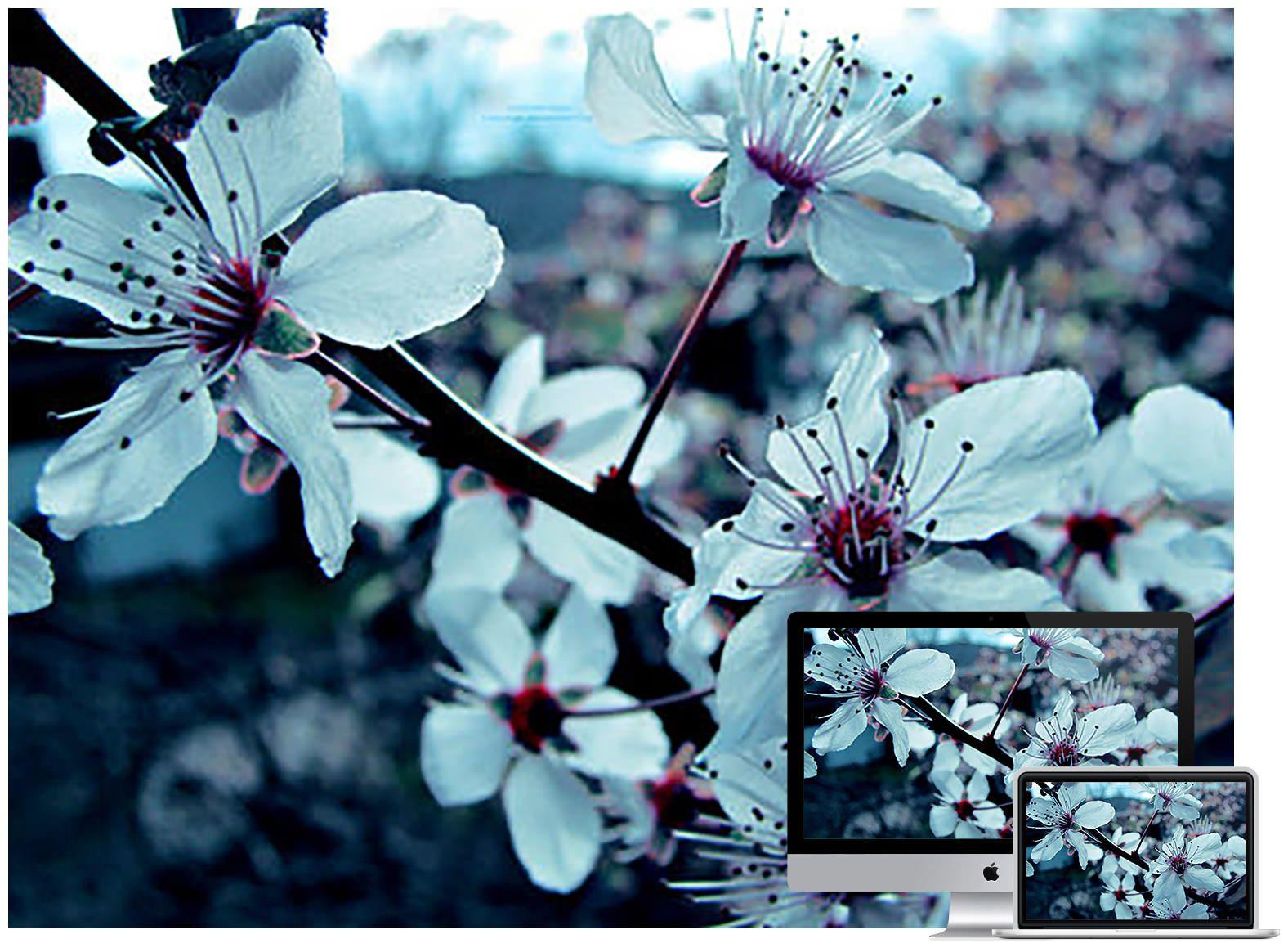 1576x1159 Beautiful Flowers Wallpaper to Download