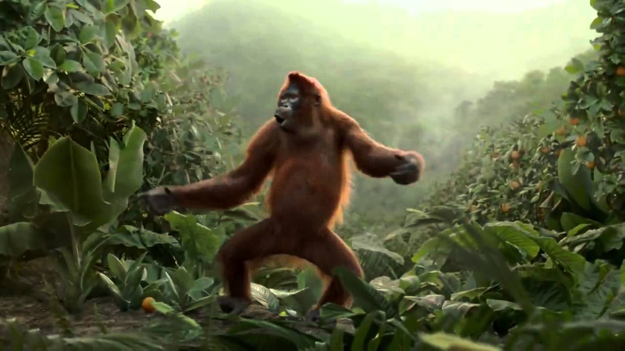 1280x720 Funny Orangutan Has Best Dance Moves We've Ever Seen!
