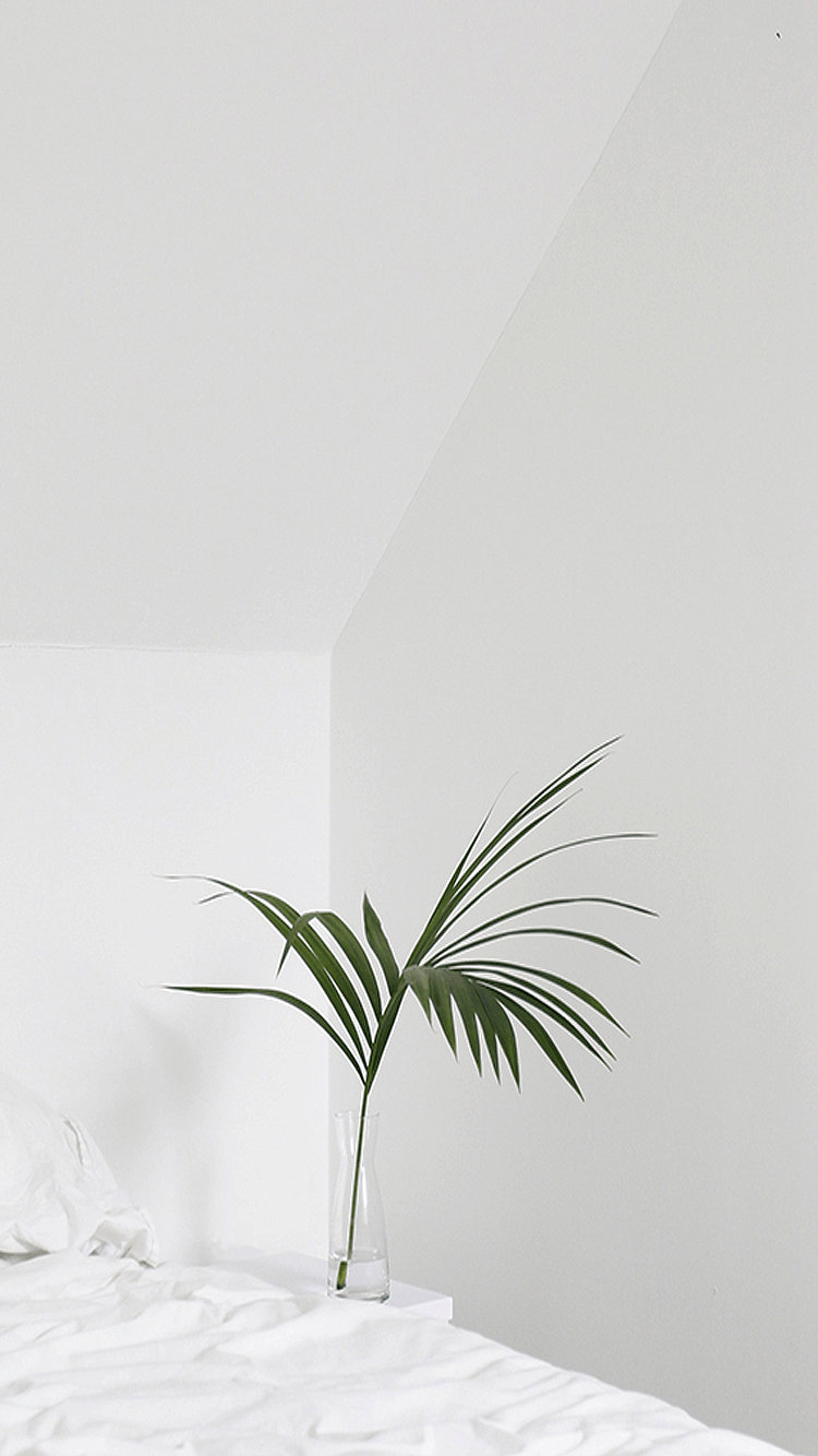 750x1334 White Aesthetic Wallpaper