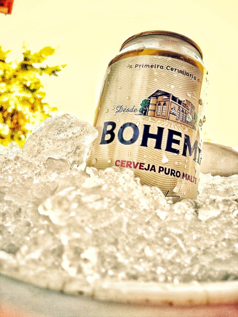 Bohemia Wallpapers - Top Free Bohemia Backgrounds - WallpaperAccess