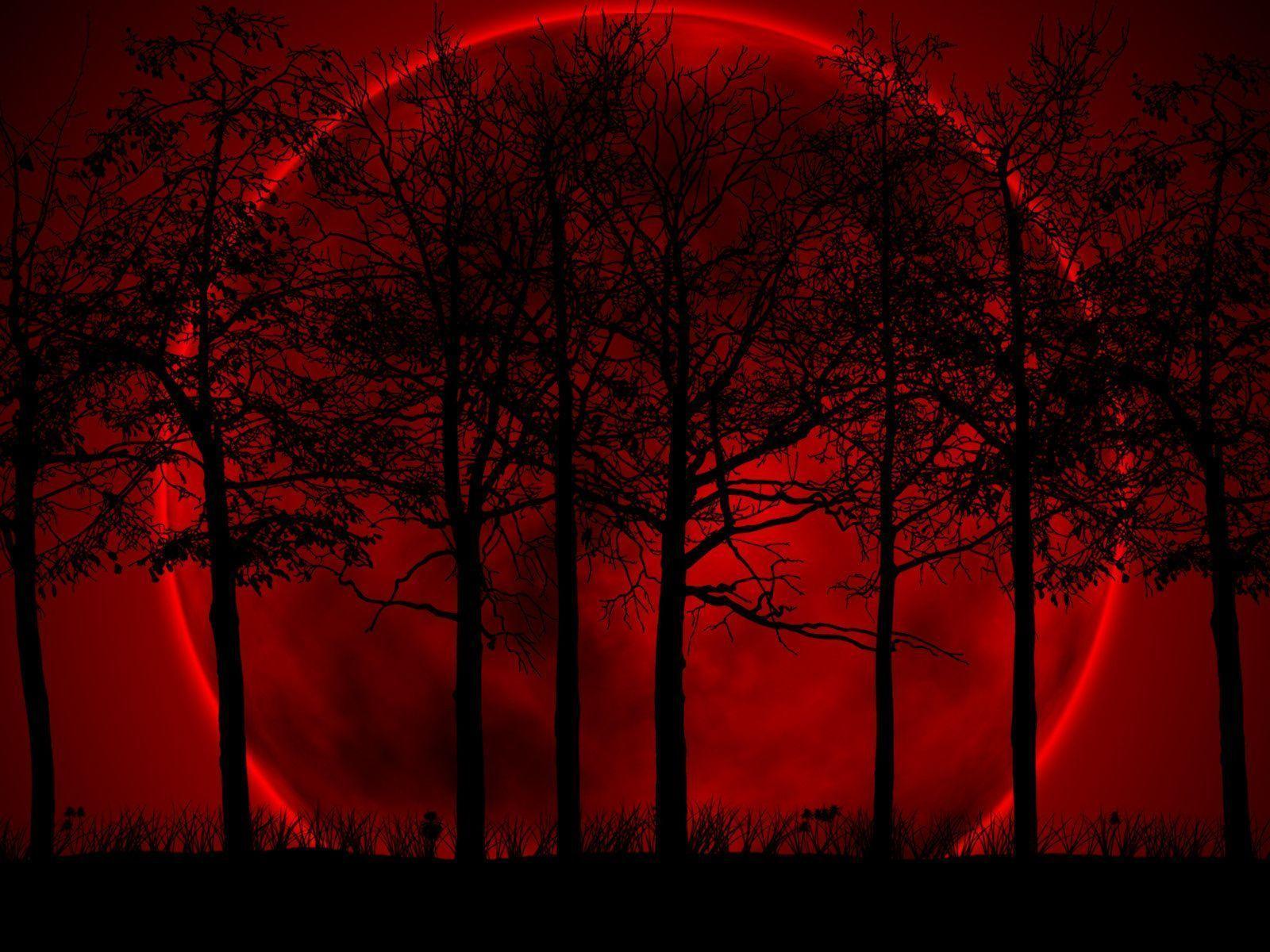 1600x1200 Black And Red Background Background for Free