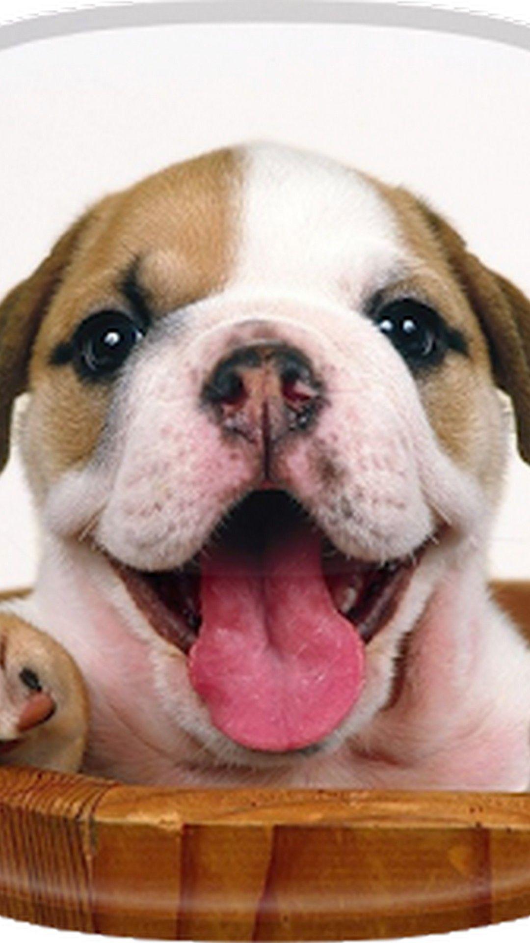1080x1920 Cute Dog