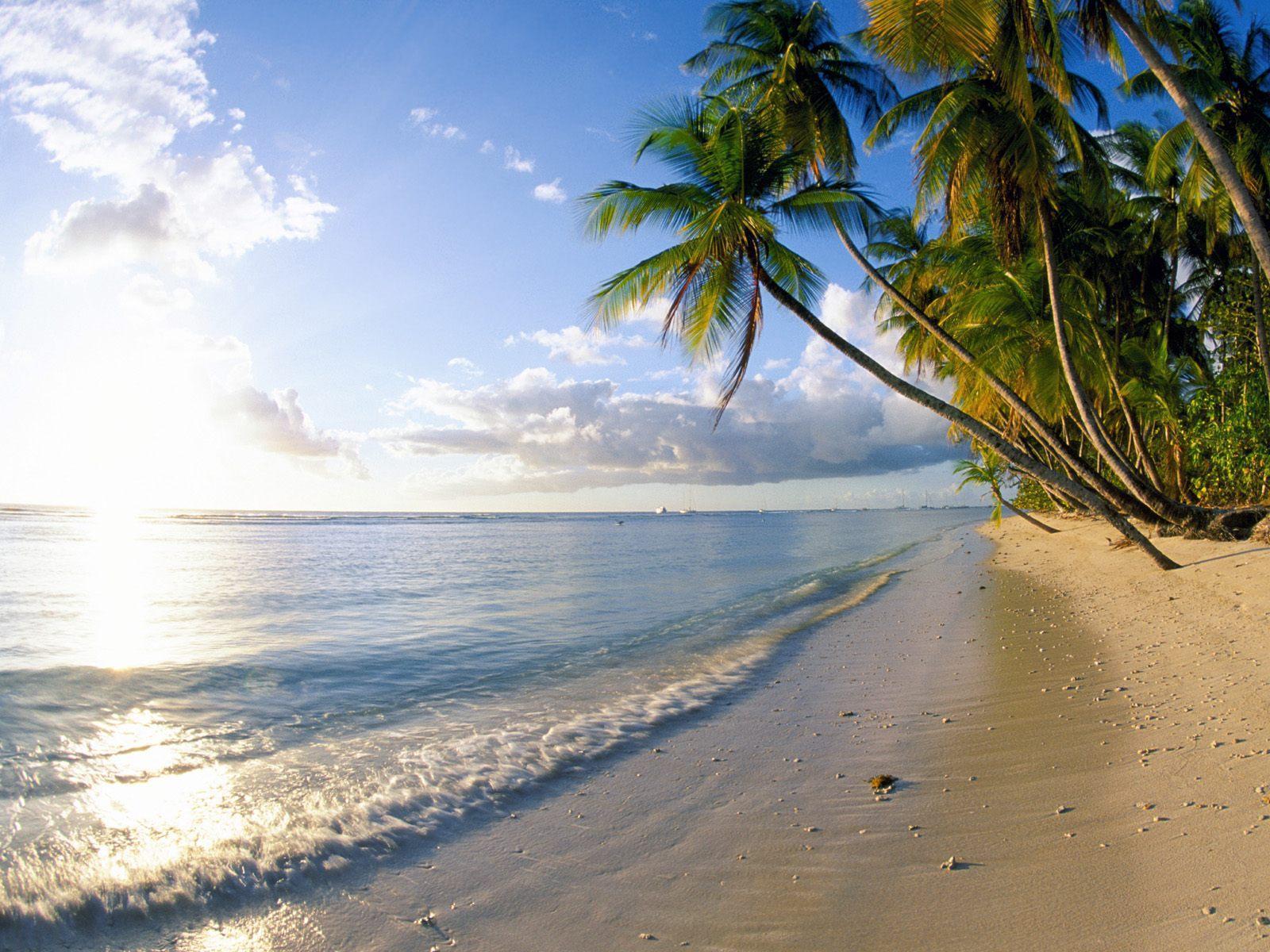 1600x1200 HD Summer Wallpaper Background (1600x1200 px)