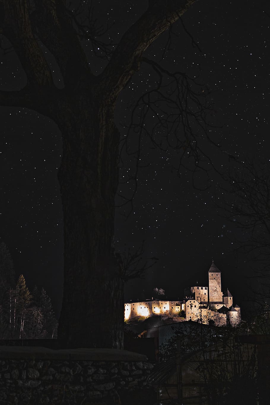 910x1365 brown, castle, starry sky, architecture, dark, evening, HD