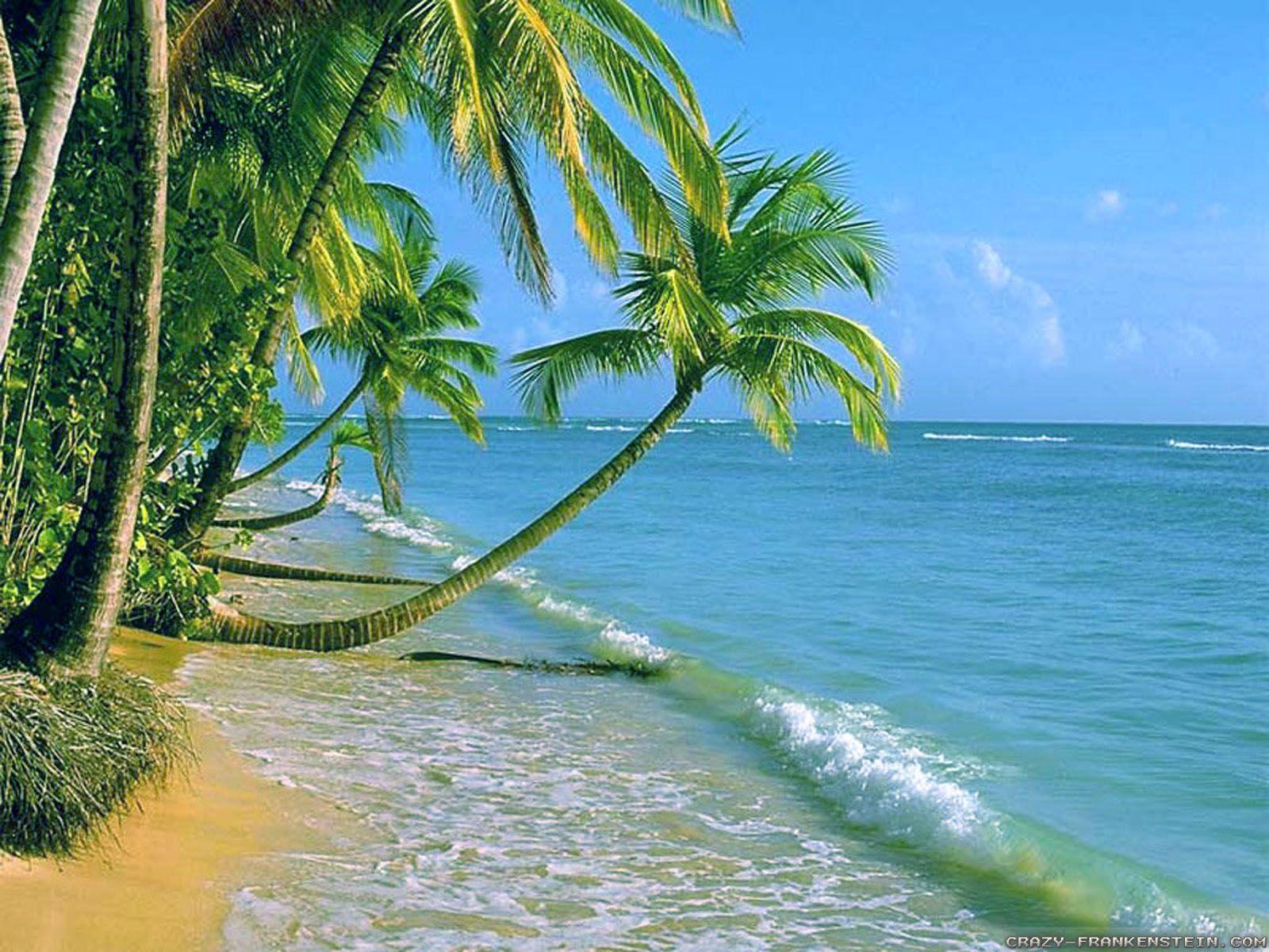 1600x1200 Last Summer wallpaper