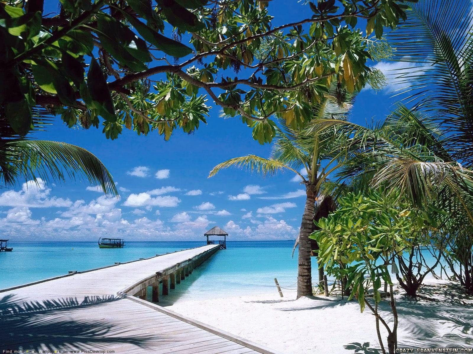 1600x1200 Free download Summer wallpaper 1600x1200 55699 [1600x1200]